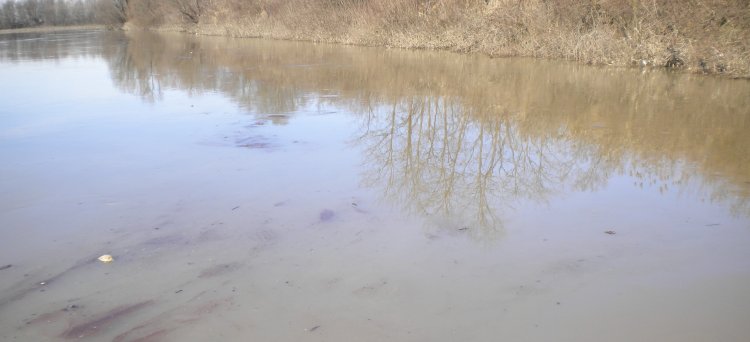 inquinamentolambro750x380