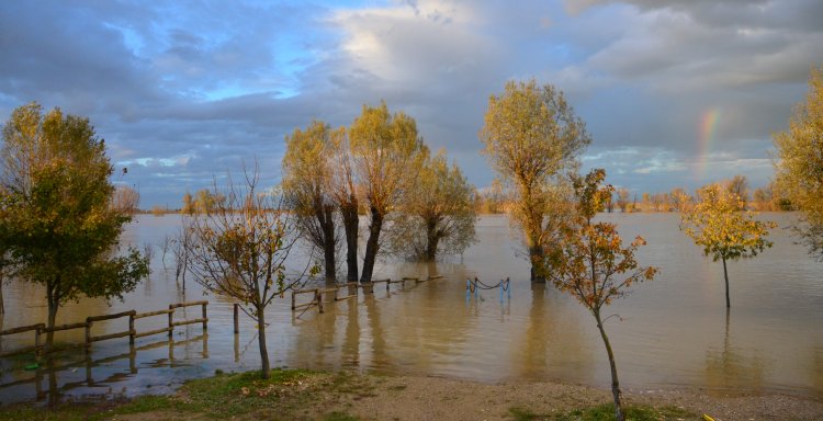 pienapo2014boretto750x380