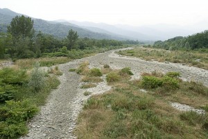 029700 4102