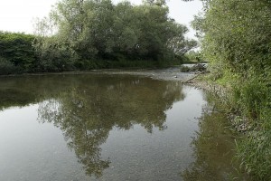 042700 3889