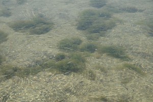 081010 3737