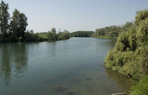 090700 4318