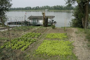 538302 2524