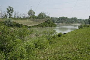 539502 2549