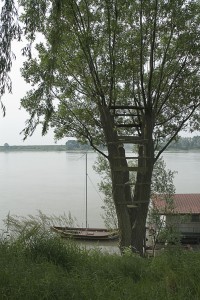 545102 2511
