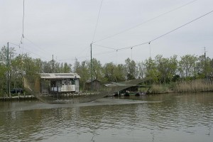 875001 1661